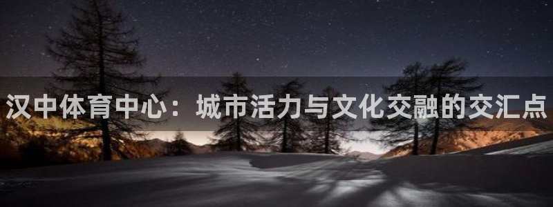 一竞技官网下载招商电话地址查询：汉中体育中心：城市活力与文化