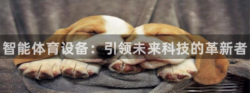 一竞技官方正版app娱乐是那个系列的台子
