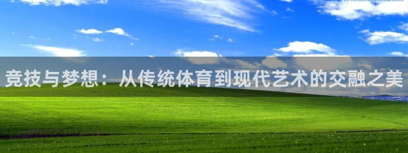 一竞技官网下载平台是正规平台吗安全吗：竞技与梦想：从传统体育