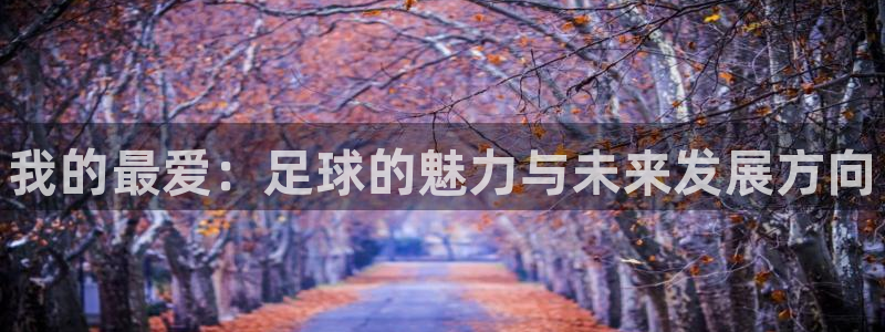 一竞技官方正版app集团E.ON：我的最爱：足球的魅
