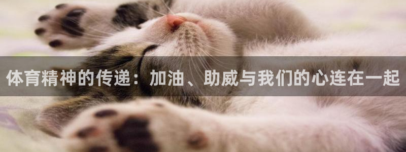 一竞技官网下载平台是正规平台吗知乎：体育精神的传递：