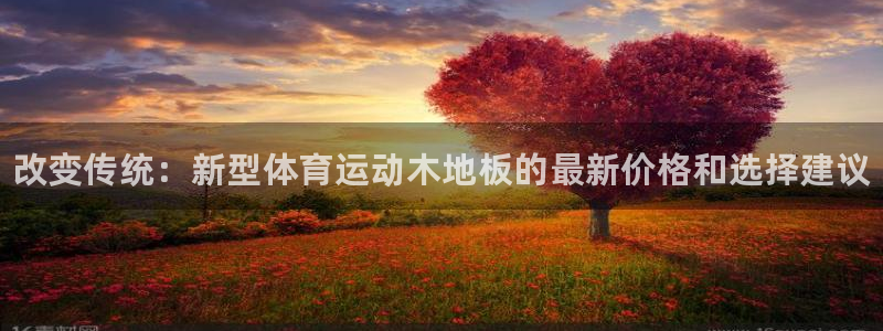 一竞技官网下载招商电话地址：改变传统：新型体育运动木