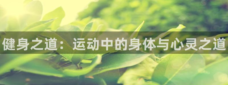 一竞技官方正版app娱乐网站：健身之道：运动中的身体与心灵之
