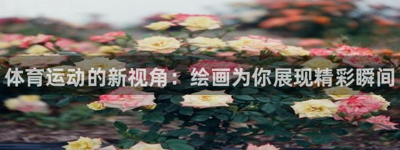 一竞技官方正版app集团官网网址：体育运动的新视角：绘画为你