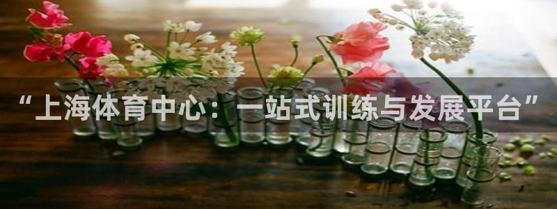 德国一竞技官方正版app集团：“上海体育中心：一站式训练与发