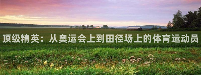 海南一竞技官网下载发展怎么样：顶级精英：从奥运会上到