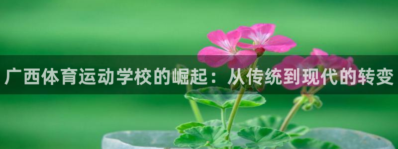 注册一竞技官方正版app：广西体育运动学校的崛起：从