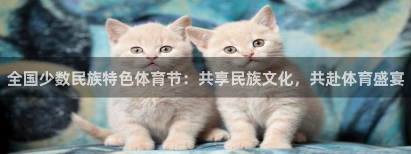 一竞技官方正版app新能源：全国少数民族特色体育节：共享民族