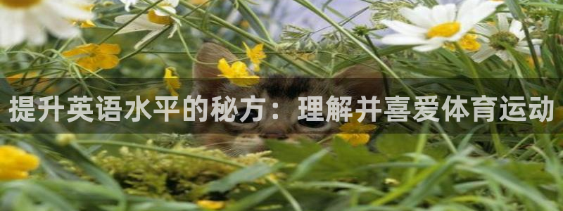 一竞技官网下载联系电话