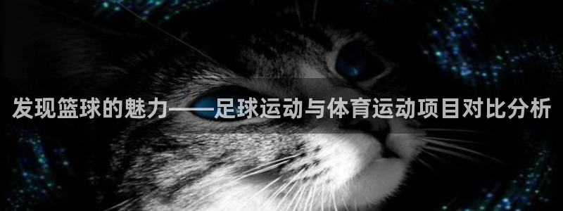 一竞技官网下载注册：发现篮球的魅力——足球运动与体育