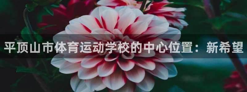 一竞技官网下载招商电话号码是多少啊：平顶山市体育运动学校的中