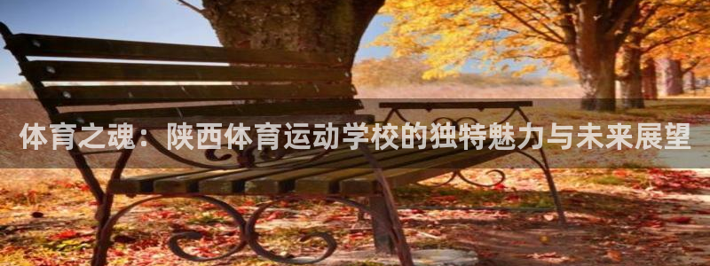 一竞技官网下载平台APP：体育之魂：陕西体育运动学校的独特魅