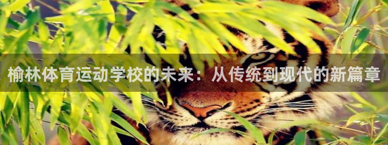 一竞技官网下载娱乐：榆林体育运动学校的未来：从传统到