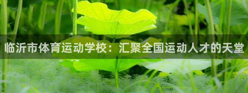 一竞技官方正版app集团官网网址：临沂市体育运动学校