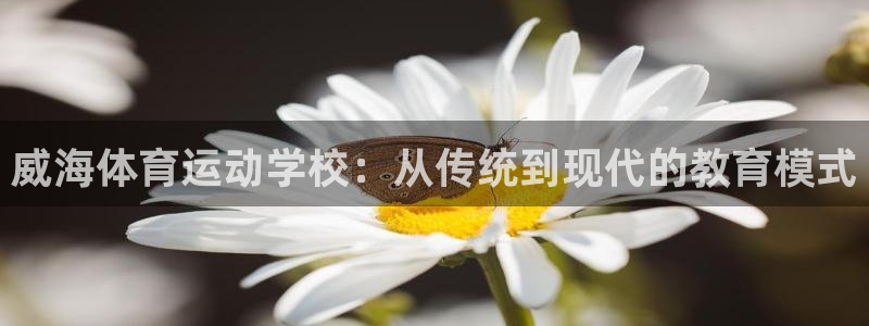 一竞技官方正版app集团官网首页网址：威海体育运动学校：从传