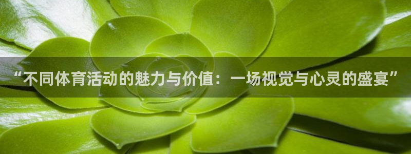 一竞技官网下载招商电话号码查询：“不同体育活动的魅力与价值：