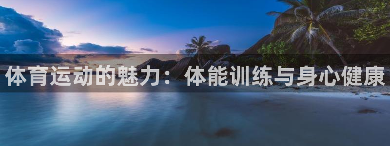 一竞技官方正版app娱乐代理怎么样：体育运动的魅力：体能训练