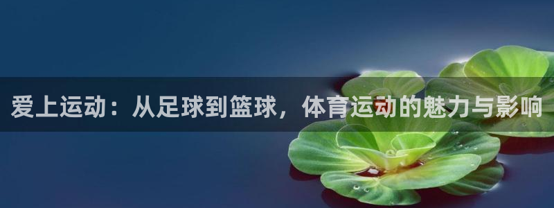 一竞技官方正版app开户：爱上运动：从足球到篮球，体