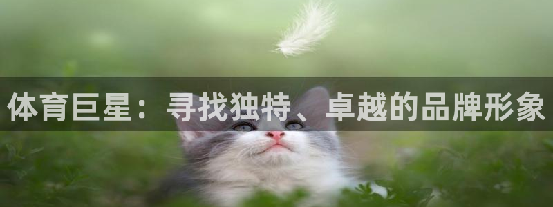 一竞技入口