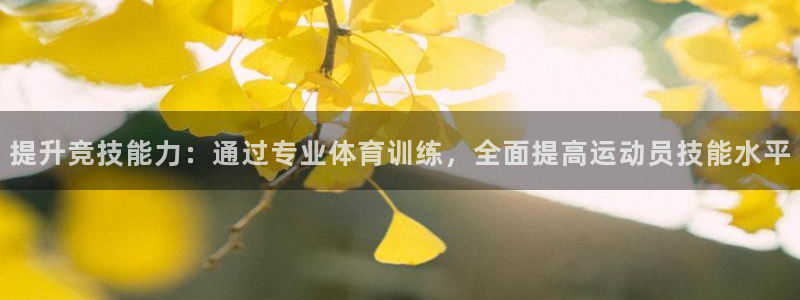 一竞技官方网站入口下载：提升竞技能力