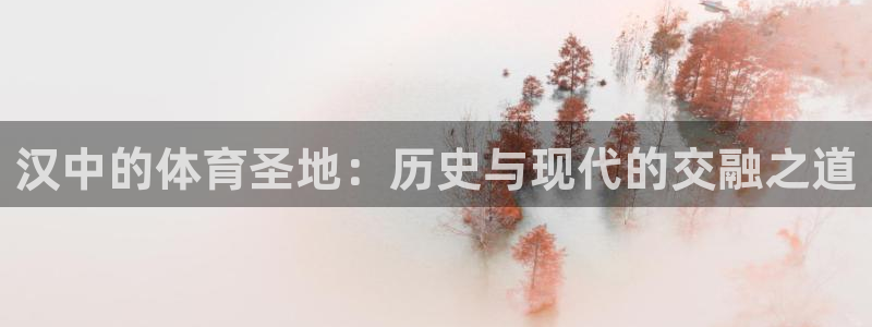 一竞技官网测速：汉中的体育圣地：历史