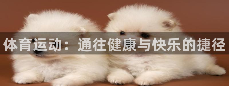 一竞技官网测速：体育运动：通往健康与