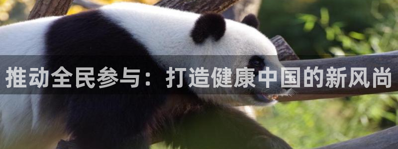 一竞技入口官网首页：推动全民参与：打