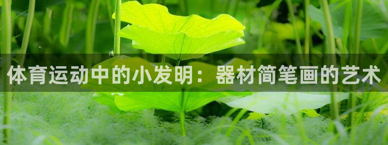 一竞技平台提现不出：体育运动中的小发