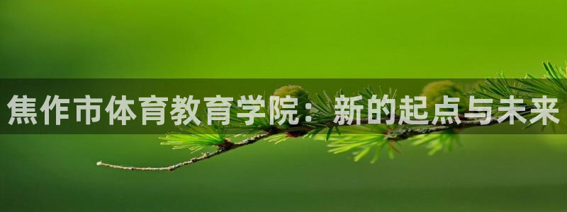 一竞技平台可以借钱吗：焦作市体育教育