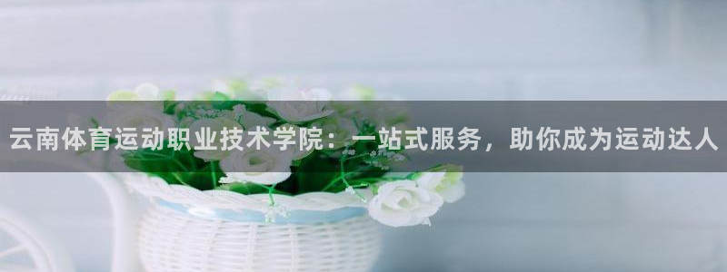 一竞技官网入口登录：云南体育运动职业