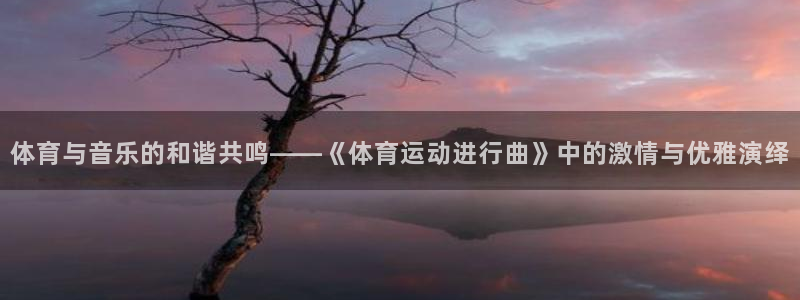 一竞技官网测速入口登录：体育与音乐的