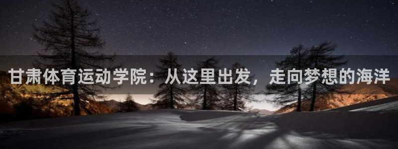 一竞技平台是正规软件吗：甘肃体育运动
