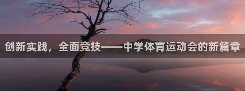一竞技官网游戏平台：创新实践，全面竞