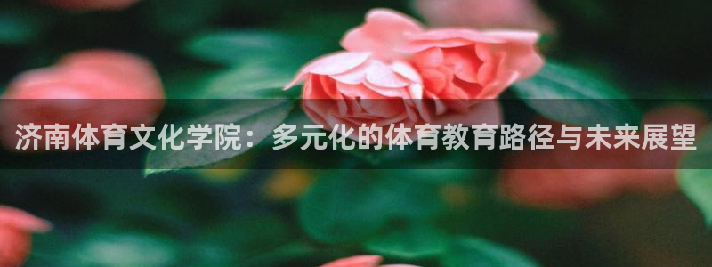 一竞技官网下载：济南体育文化学院：多