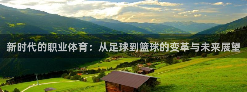 一竞技官网下载招商电话：新时代的职业体育：从足球到篮球的变革
