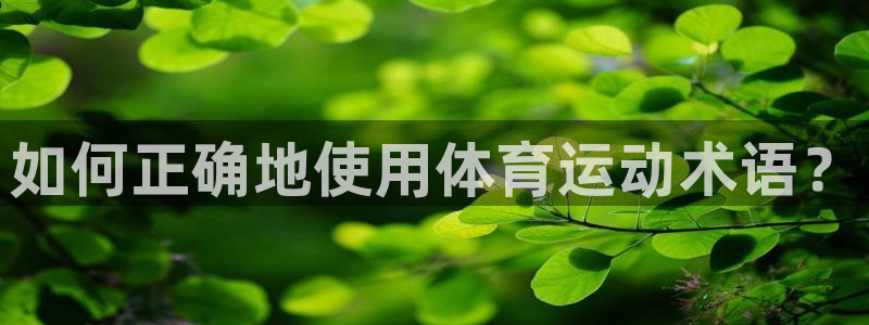 一竞技官网下载开户