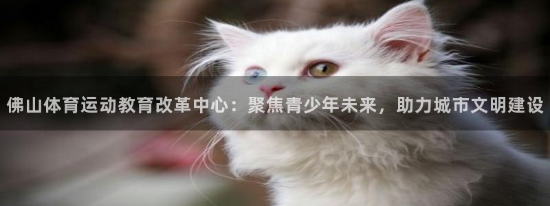 一竞技官方正版app娱乐是那个系列的台子:佛山体育运动教育改