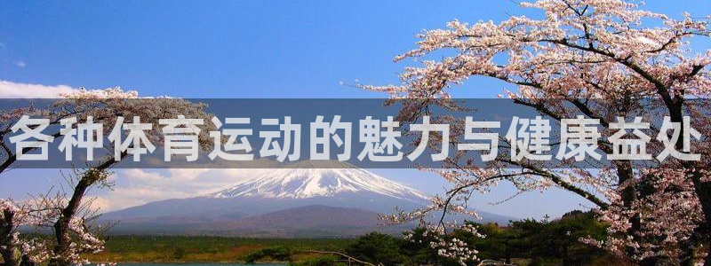 一竞技官网下载招商:各种体育运动的魅力与健康益处