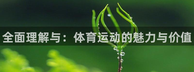 一竞技官网下载招商电话