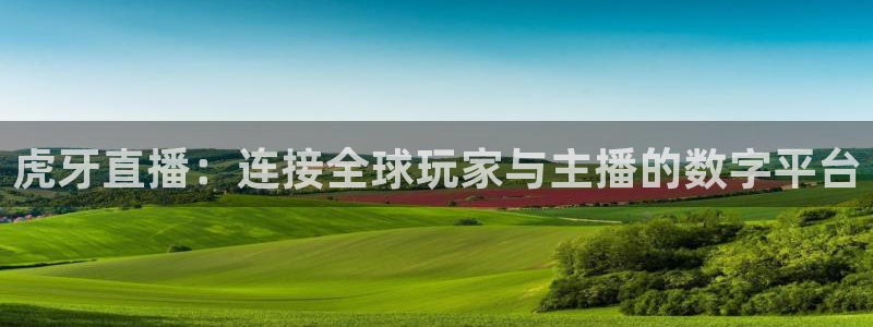 360体育免费直播：虎牙直播：连接全球玩家与主播的数字平台