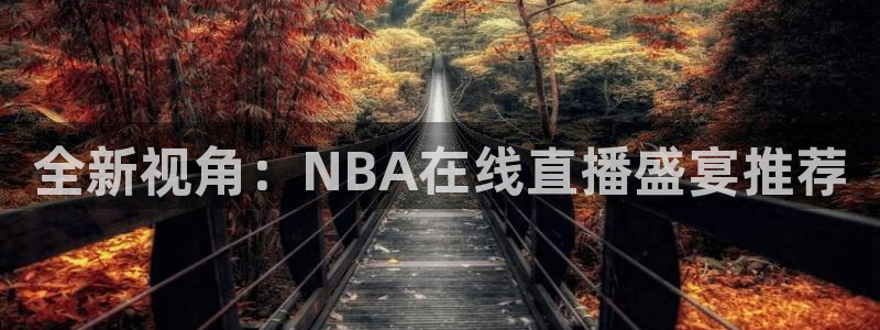 360足球雨燕现场直播：全新视角：NBA在线直播盛宴推荐