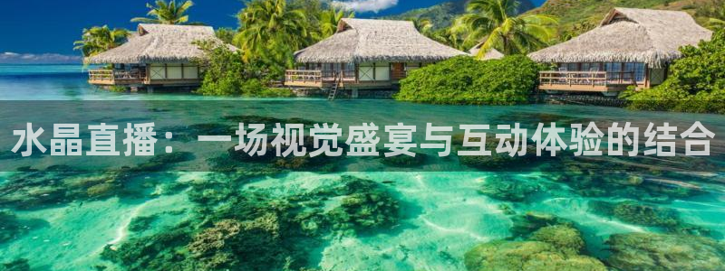自由杯直播360：水晶直播：一场视觉盛宴与互动体验的结合