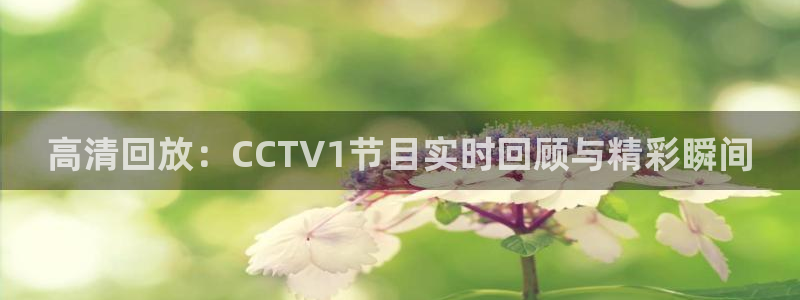 360度直播nba：高清回放：CCTV1节目实时回顾与精彩瞬间
