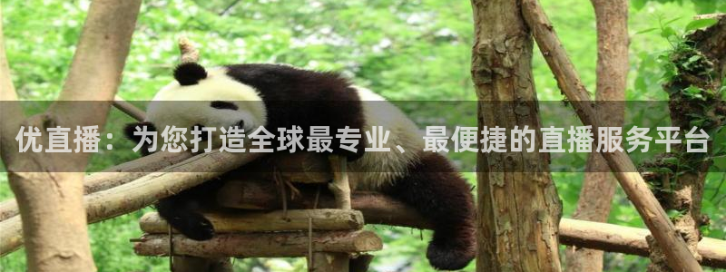 360直播体育足球：优直播：为您打造全球最专业、最便捷的直播服务平台
