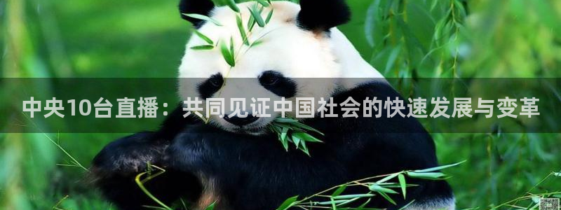 360直播足球比赛：中央10台直播：共同见证中国社会的快速发展与变革