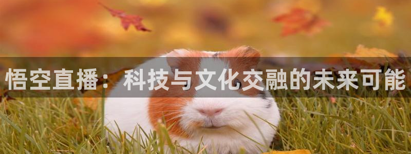360直播足球直播网：悟空直播：科技与文化交融的未来可能