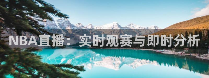 360足球直播雨燕：NBA直播：实时观赛与即时分析