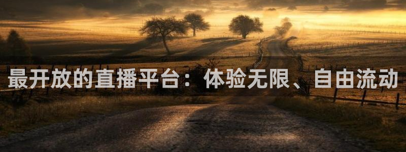 360体育足球直播平台：最开放的直播平台：体验无限、自由流动