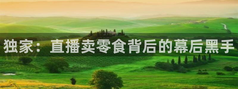 360足球直播赛事雨燕：独家：直播卖零食背后的幕后黑手