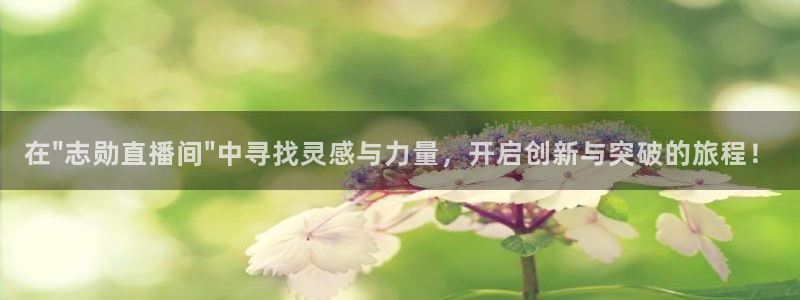 360体育在线直播频道直播：在\